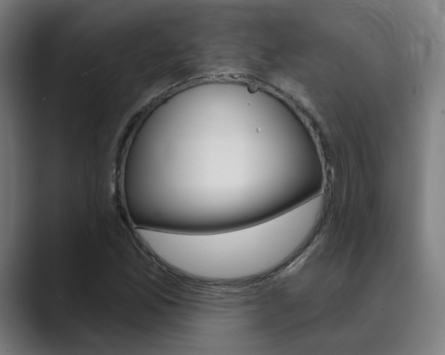 X0000089941165200706290809