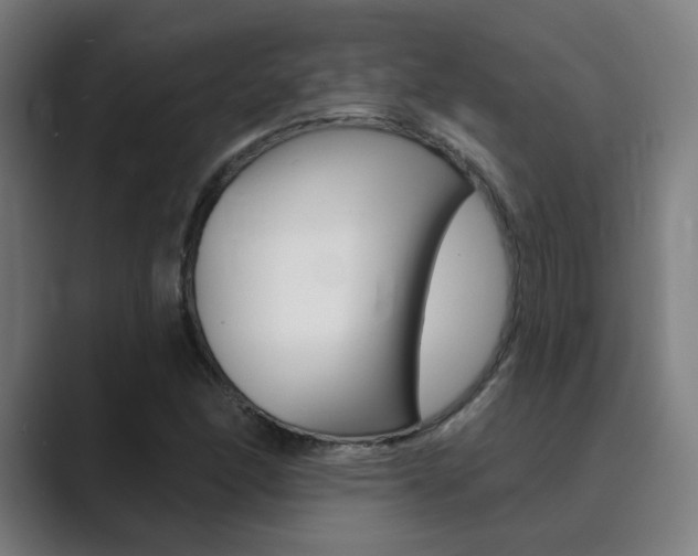 X0000089941166200706290809