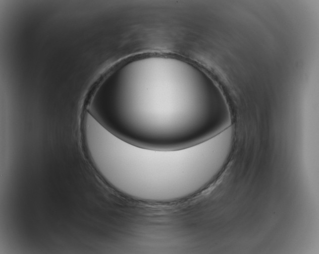 X0000089941168200706290809
