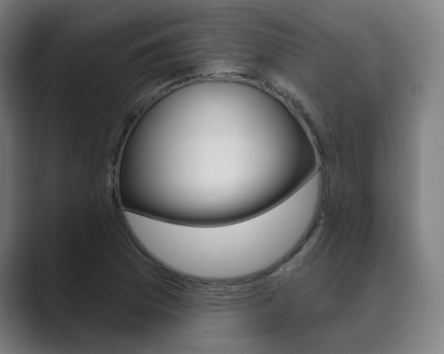 X0000089941169200706290809