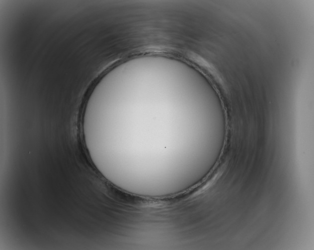 X0000089941170200706290809