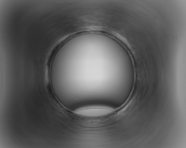 X0000089941171200706290809