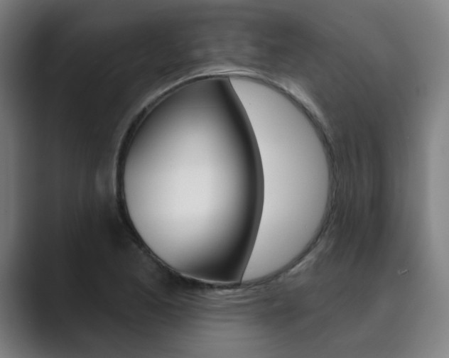 X0000089941173200706290809