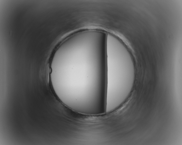 X0000089941175200706290809