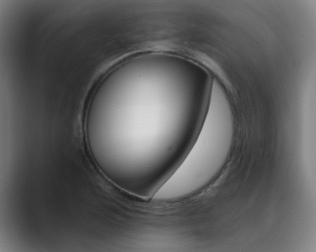 X0000089941176200706290809