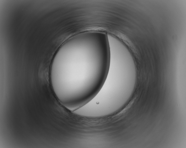 X0000089941177200706290809