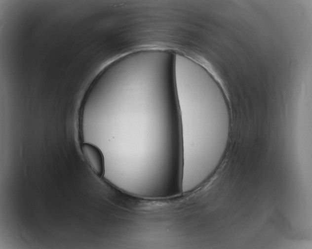 X0000089941187200706290809