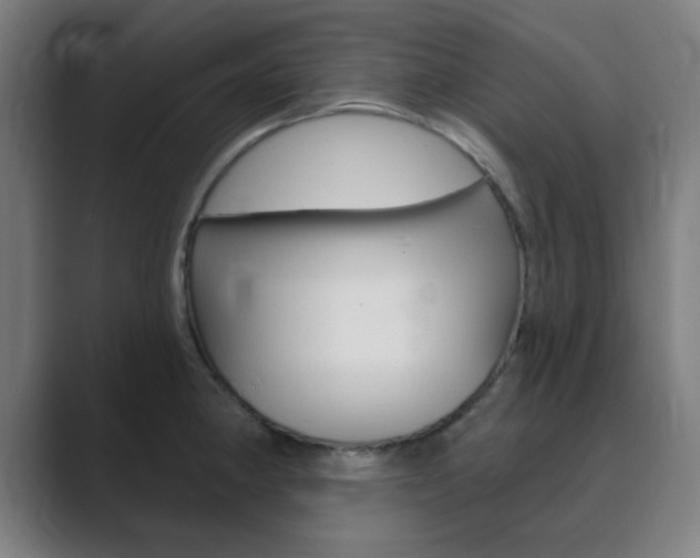 X0000089941190200706290809