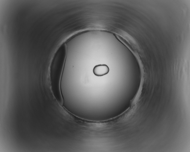 X0000089941192200706290809