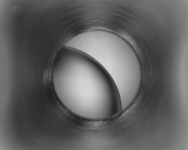 X0000089941193200706290809