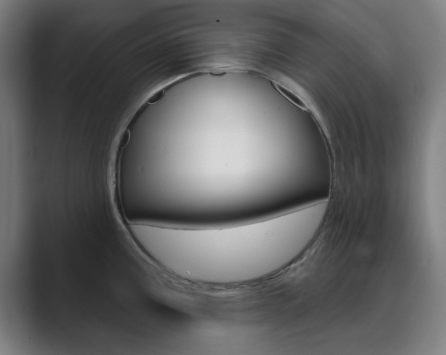 X0000089941195200706290809