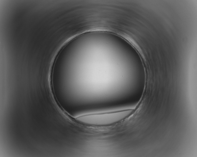 X0000089941197200706290809