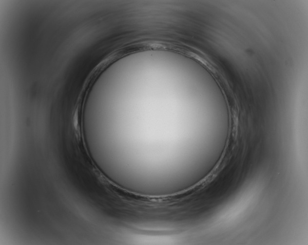 X0000089941198200706290809