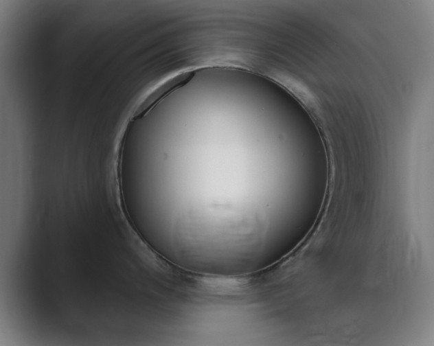 X0000089941200200706290809