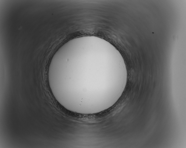 X0000089941201200706290808