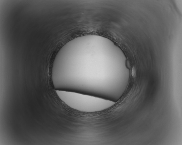 X0000089941203200706290808