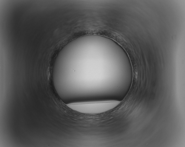 X0000089941204200706290808