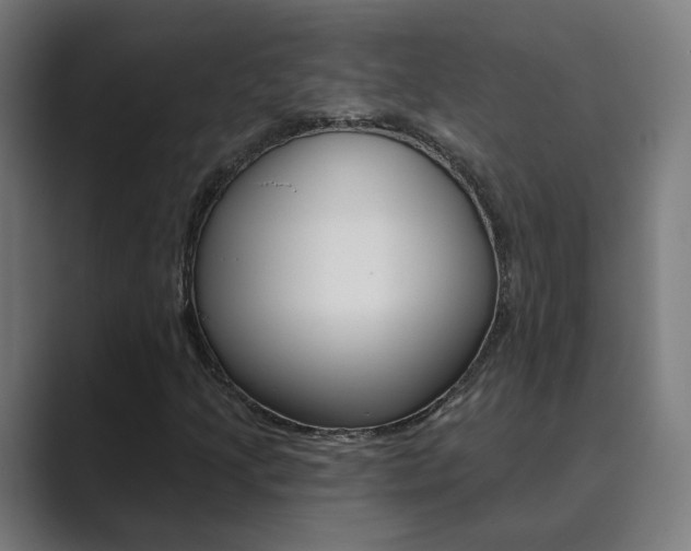 X0000089941205200706290808