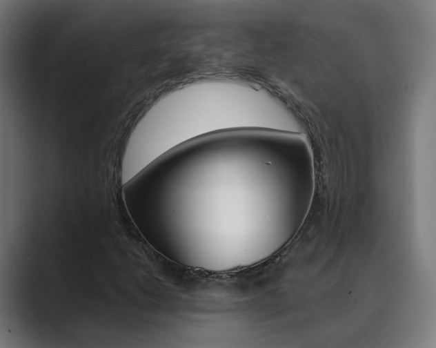X0000089941206200706290808