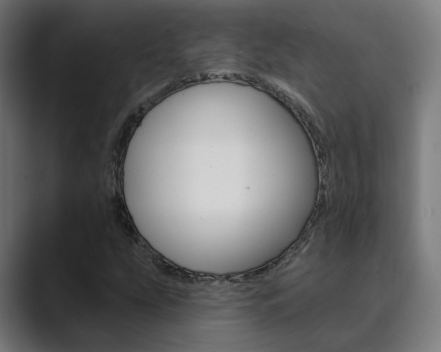 X0000089941207200706290808