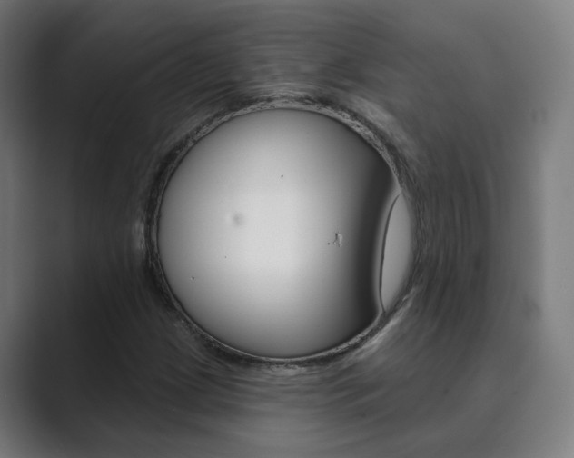 X0000089941209200706290809