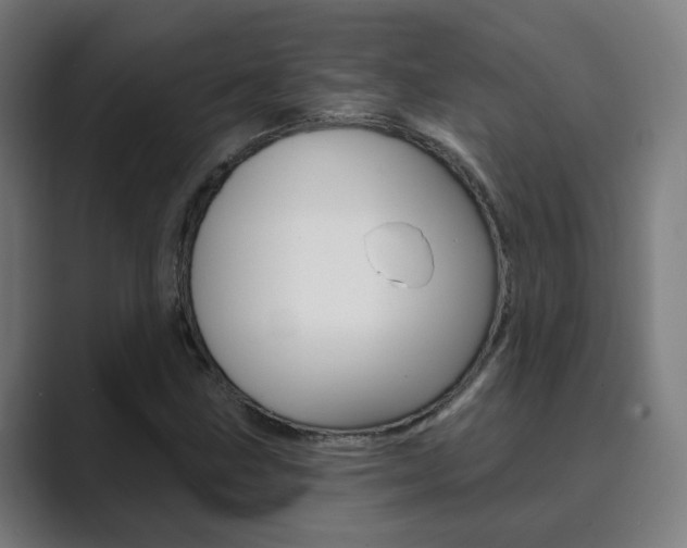 X0000089941211200706290809