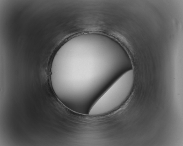 X0000089941212200706290809