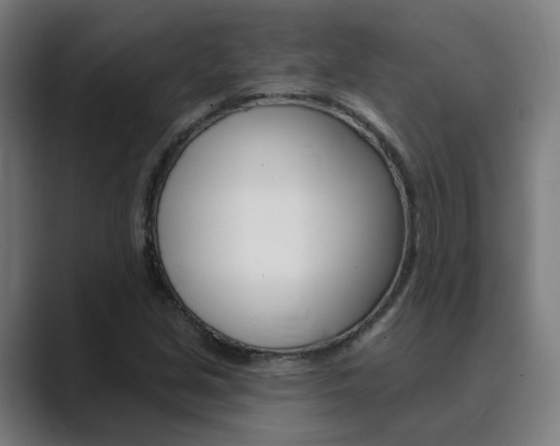 X0000089941213200706290809