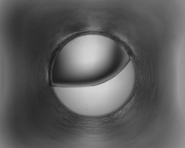 X0000089941214200706290809
