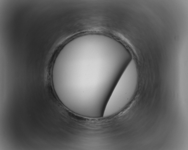 X0000089941215200706290809
