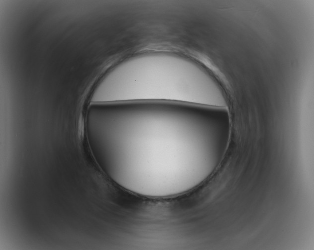 X0000089941221200706290809
