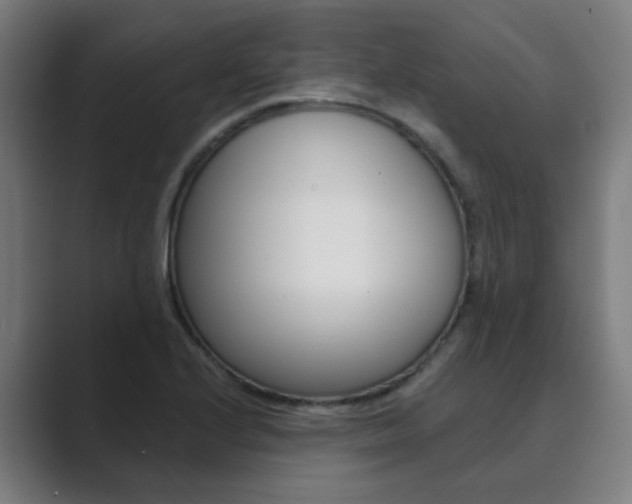 X0000089941224200706290809