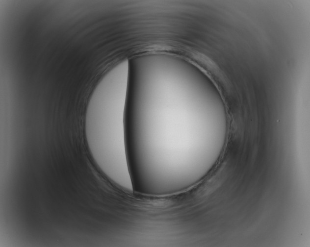 X0000089941225200706290809