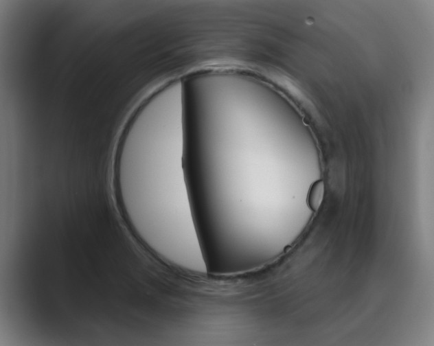 X0000089941229200706290809