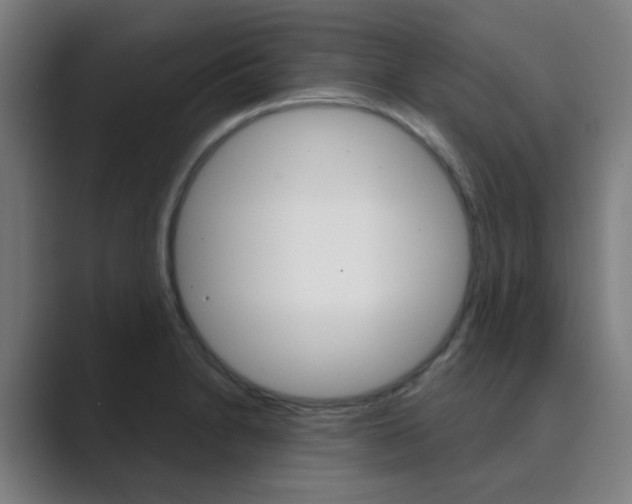 X0000089941230200706290809
