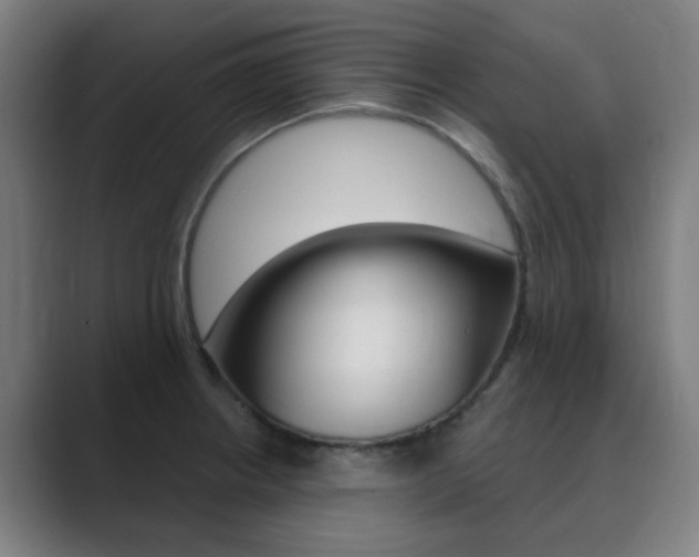X0000089941234200706290809
