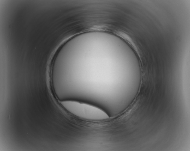X0000089941235200706290809