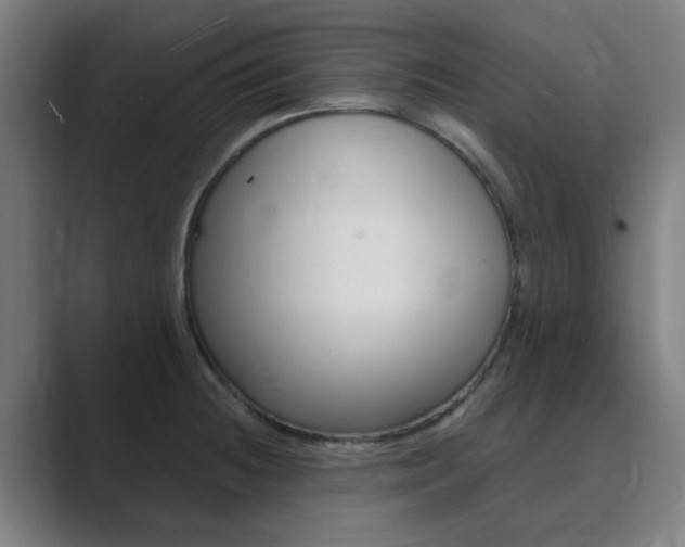 X0000089941236200706290809