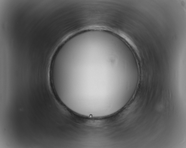 X0000089941237200706290809