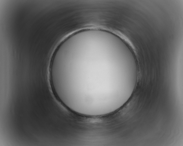 X0000089941239200706290809