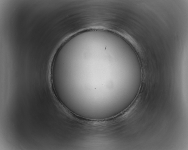 X0000089941240200706290809