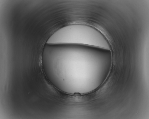 X0000089941241200706290809