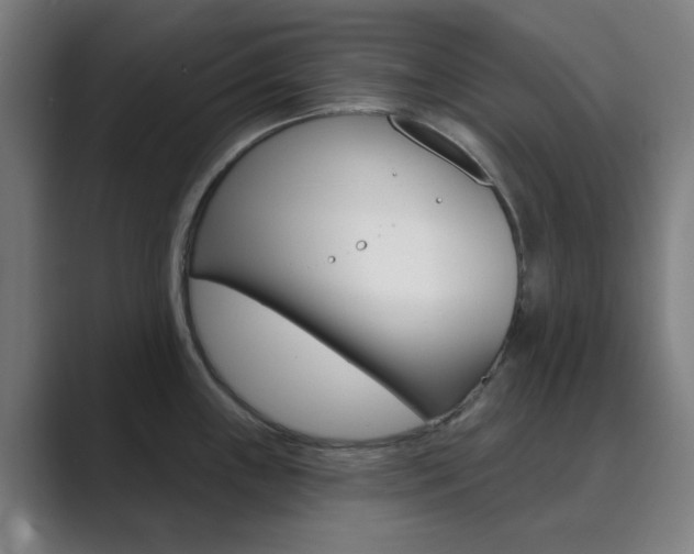 X0000089941243200706290809