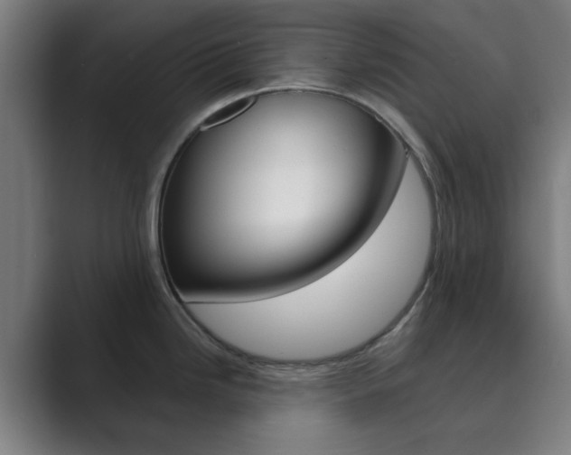 X0000089941246200706290809