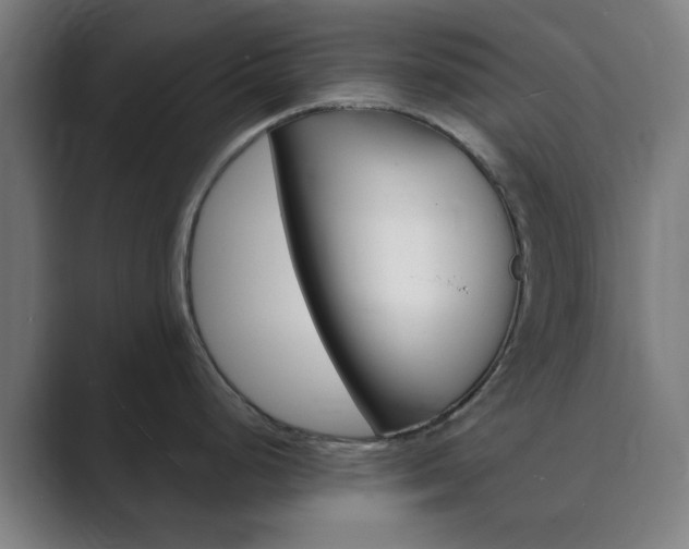 X0000089941248200706290809