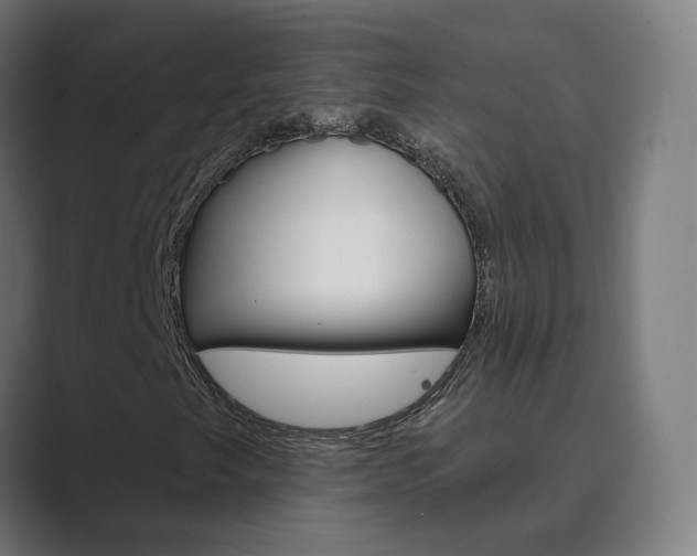 X0000089941249200706290808