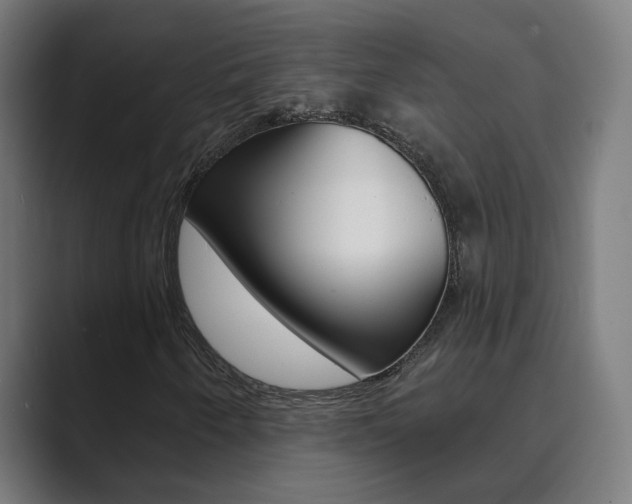 X0000089941250200706290808