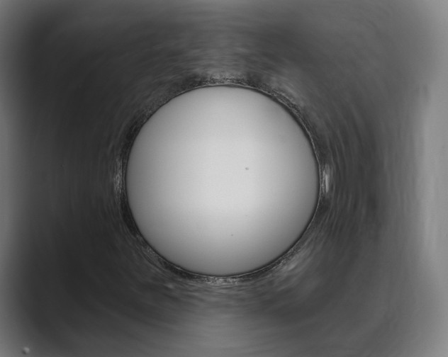 X0000089941251200706290808