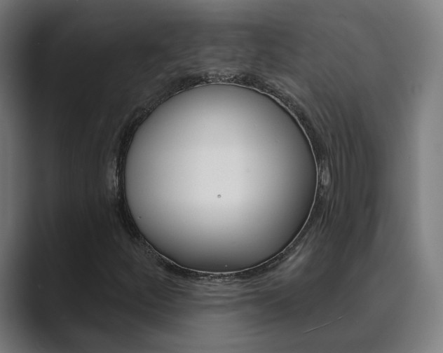 X0000089941252200706290808