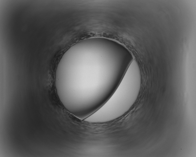X0000089941253200706290808